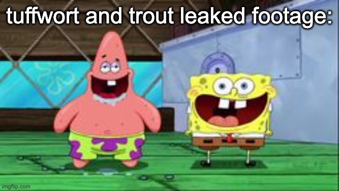 spongebob and patrick being stupid as hell | tuffwort and trout leaked footage: | image tagged in spongebob and patrick being stupid as hell | made w/ Imgflip meme maker