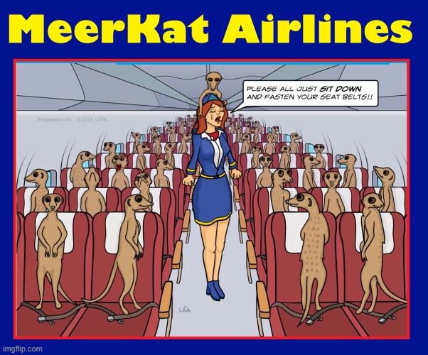 Actually, Meerkats Fly United | image tagged in vince vance,cartoons,meerkats,airlines,national geographic,stewardess | made w/ Imgflip meme maker
