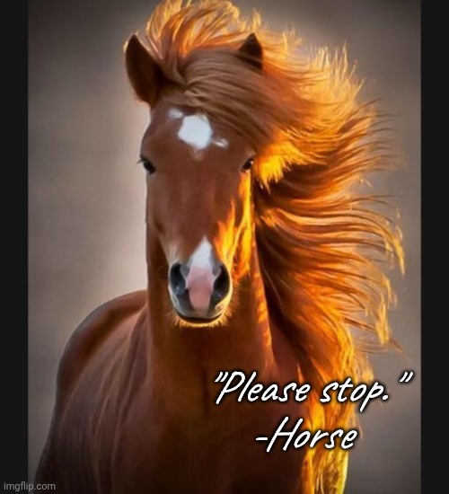 "Please stop" -Horse Blank Meme Template