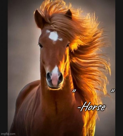 Horse quote blank Blank Meme Template
