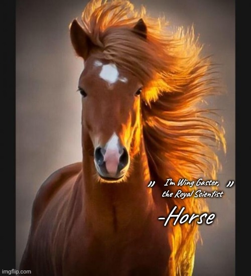 new template | I'm Wing Gaster, the Royal Scientist | image tagged in horse quote blank | made w/ Imgflip meme maker