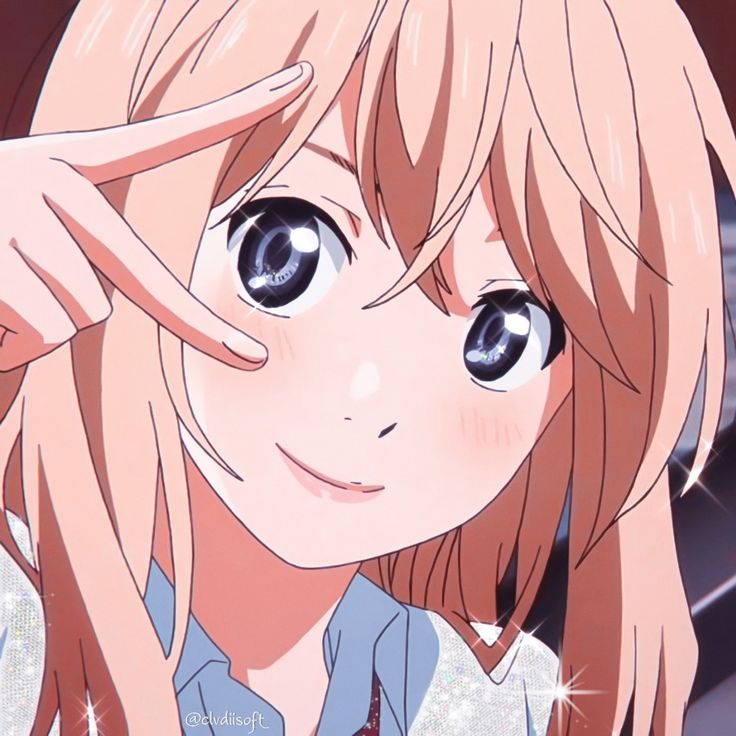 karoi Blank Meme Template