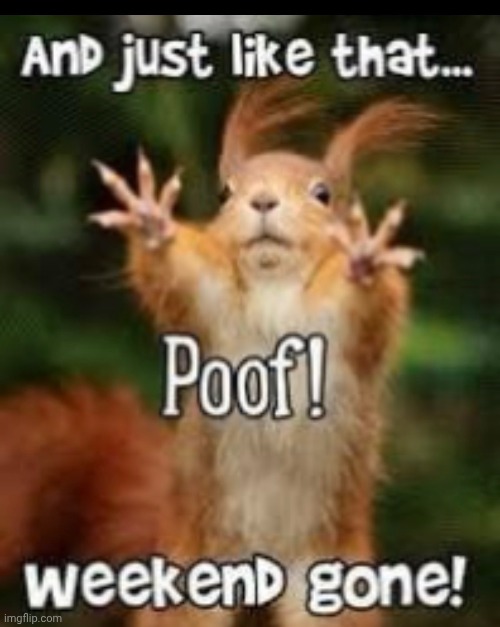 Buh-bye! | image tagged in meme | made w/ Imgflip meme maker