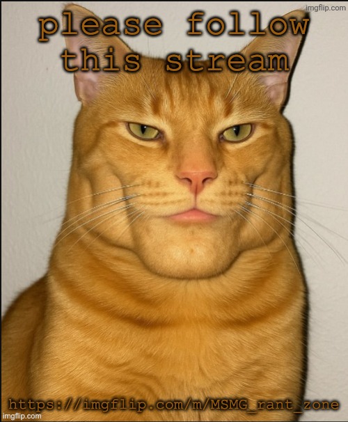 at least check it out | please follow this stream; https://imgflip.com/m/MSMG_rant_zone | image tagged in chad cat | made w/ Imgflip meme maker