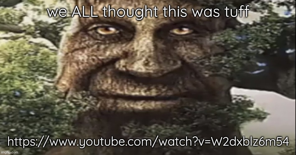 Wise mystical tree | we ALL thought this was tuff; https://www.youtube.com/watch?v=W2dxblz6m54 | image tagged in wise mystical tree | made w/ Imgflip meme maker