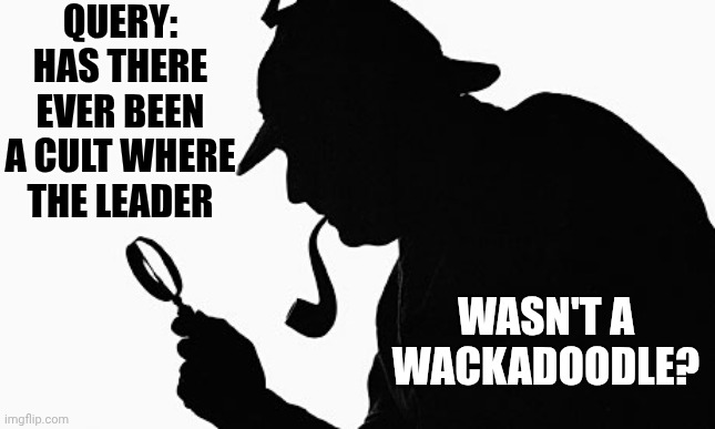 A query is a question, inquiry, or formal request for information, often expressing doubt or seeking verification | Query: Has there ever been a cult where the leader; wasn't a wackadoodle? | image tagged in sherlock holmes,impeach trump,trump is crazy,lock him up,it's a cult,memes | made w/ Imgflip meme maker