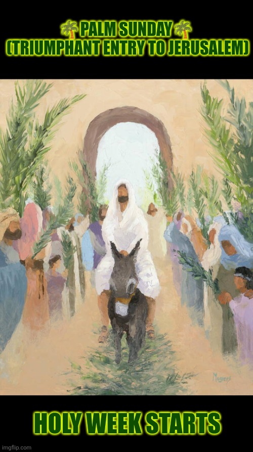 Palm Sunday | 🌴Palm Sunday🌴 
(Triumphant entry to Jerusalem); Holy Week starts | image tagged in palm sunday,holy week,christianity,jerusalem | made w/ Imgflip meme maker
