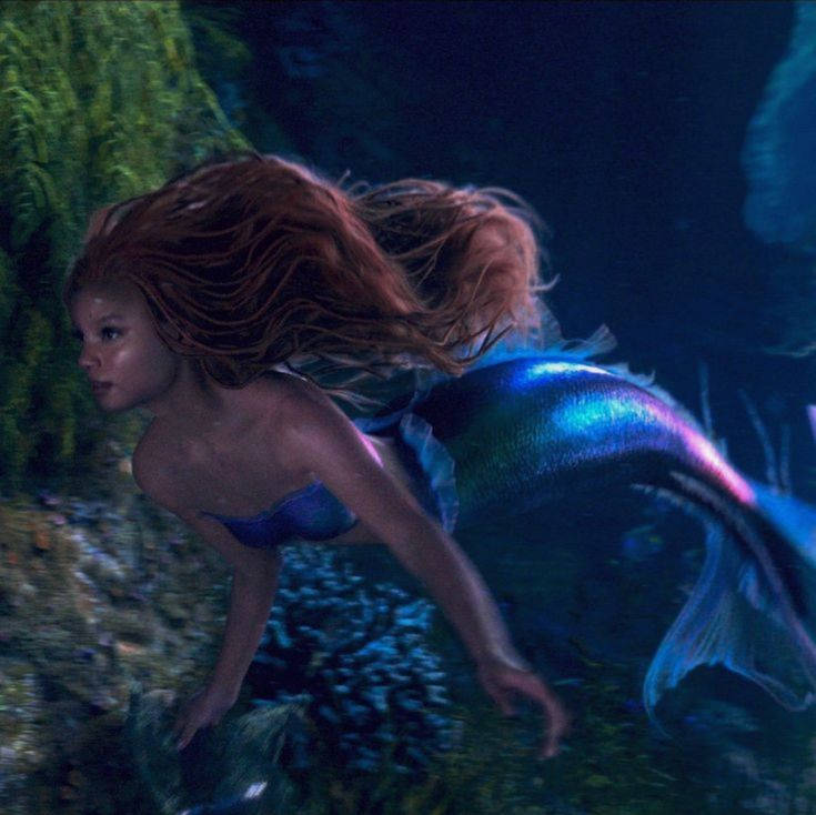 ugly ariel Blank Meme Template