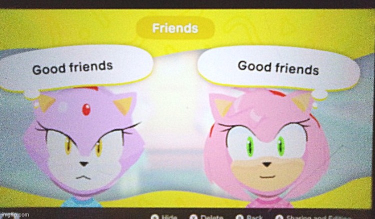 look at my blaze and amy miis (technically i had to draw their faces so it counts as a drawing lol) | made w/ Imgflip meme maker