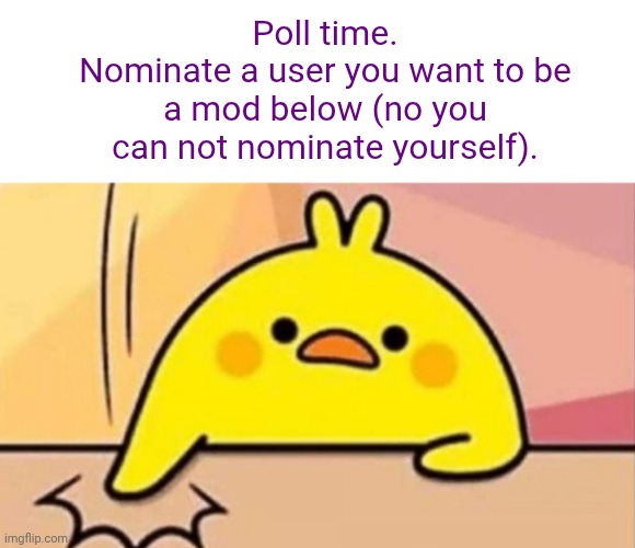 We lowkey doing political stuff here now | Poll time.
Nominate a user you want to be a mod below (no you can not nominate yourself). | image tagged in polls | made w/ Imgflip meme maker