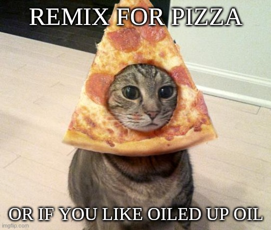 pizza cat | remix for pizza; or if you like oiled up oil | image tagged in pizza cat,remix | made w/ Imgflip meme maker