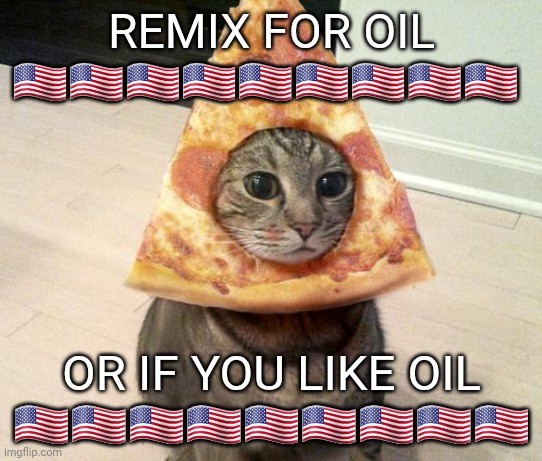 pizza cat | remix for oil 🇺🇲🇺🇲🇺🇲🇺🇲🇺🇲🇺🇲🇺🇲🇺🇲🇺🇲; or if you like oil 🇺🇲🇺🇲🇺🇲🇺🇲🇺🇲🇺🇲🇺🇲🇺🇲🇺🇲 | image tagged in pizza cat,remix,oil,america | made w/ Imgflip meme maker