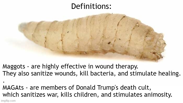 MAGAts are members of Donald Trump's death cult. | Definitions:; Maggots - are highly effective in wound therapy.
They also sanitize wounds, kill bacteria, and stimulate healing.
.
MAGAts - are members of Donald Trump's death cult,
which sanitizes war, kills children, and stimulates animosity. | image tagged in donald trump,trump,liar,pedophile,psychopath,maga | made w/ Imgflip meme maker