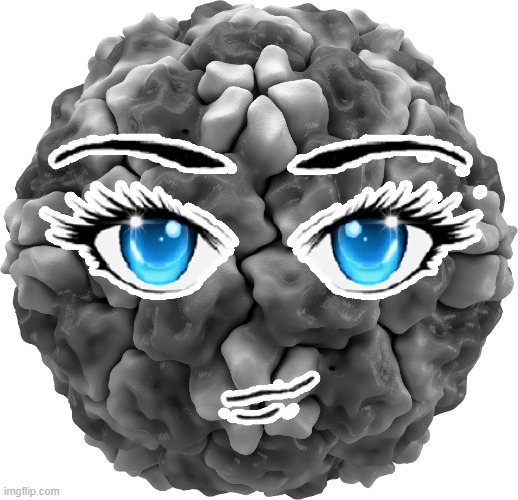 Sexy Virus Blank Meme Template