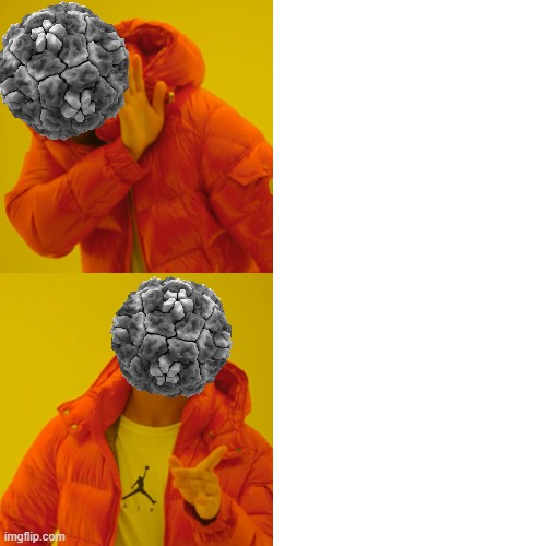 Flu Version Drake Meme Blank Meme Template