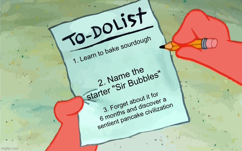 patrick to do list actually blank | 1. Learn to bake sourdough; 2. Name the starter "Sir Bubbles"; 3. Forget about it for 6 months and discover a sentient pancake civilization | image tagged in patrick to do list actually blank | made w/ Imgflip meme maker