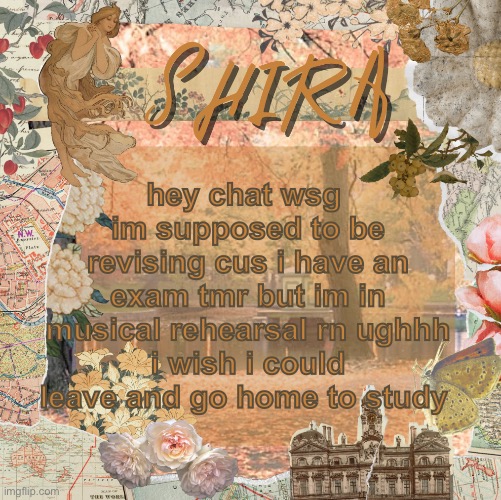 shira’s sweet temp | hey chat wsg 
im supposed to be revising cus i have an exam tmr but im in musical rehearsal rn ughhh
i wish i could leave and go home to study | image tagged in shira s sweet temp | made w/ Imgflip meme maker