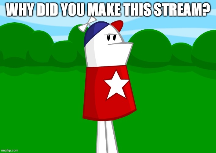 Why? | Why did you make this stream? | image tagged in a perfectly normal picture of homestarrunner,memes,why,question,stream | made w/ Imgflip meme maker