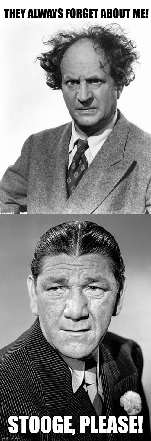 They always forget about me! Stooge, please! | image tagged in larry 3 stooges wtf,shemp | made w/ Imgflip meme maker