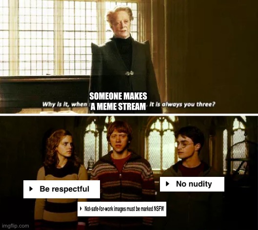 Does every meme stream HAVE to include those three rules???? | SOMEONE MAKES A MEME STREAM | image tagged in always you three,there are 3 rules,meme stream,rant,and at this point i am to afraid to ask,question | made w/ Imgflip meme maker