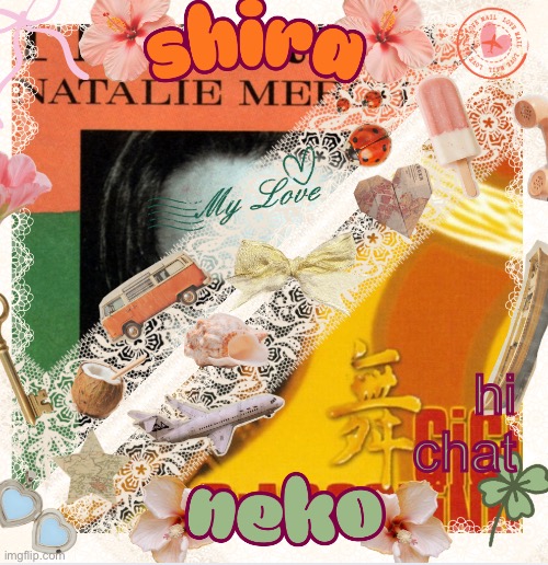 neko and shira shared temp <3 | hi chat | image tagged in neko and shira shared temp 3 | made w/ Imgflip meme maker