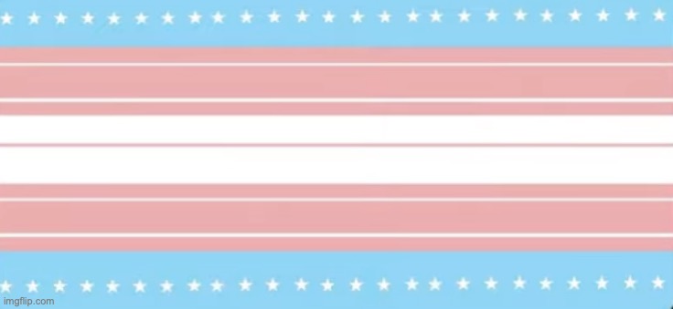 this is a fully code compliant american flag btw | made w/ Imgflip meme maker