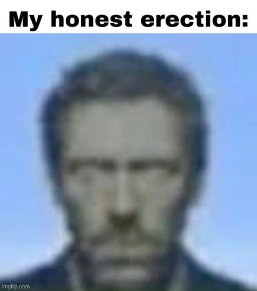 image tagged in my honest erection | made w/ Imgflip meme maker