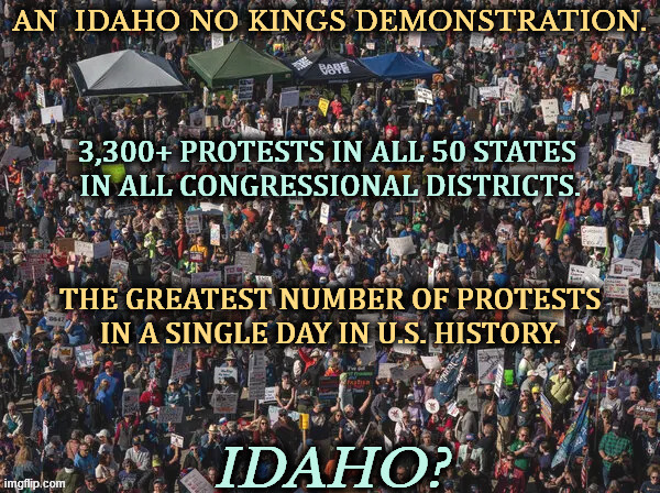 3,300+ protests in all 50 states 
in all congressional districts. The greatest number of protests in a single day in U.S. history. | image tagged in trump,trouble,no kings,loser,failure,maga | made w/ Imgflip meme maker