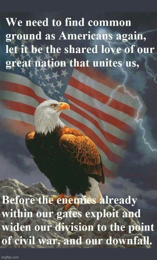 Very few people on the left would be willing to do that… | image tagged in political meme,bald eagle,common ground,americans,civil war,downfall | made w/ Imgflip meme maker