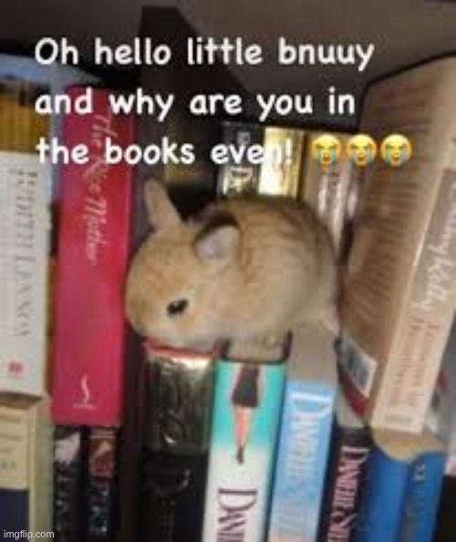 my favorite animal is the cheetah and the bunny | made w/ Imgflip meme maker