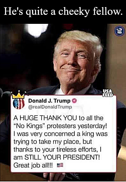 No Kings, Baby! | He's quite a cheeky fellow. | image tagged in politics,no king,trump,memes,president | made w/ Imgflip meme maker