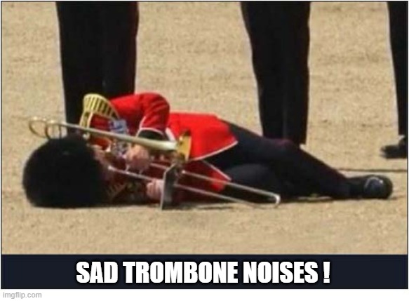 Stand To Attention On Parade ! | sad trombone noises ! | image tagged in soldier,fainted,parade,trombone | made w/ Imgflip meme maker