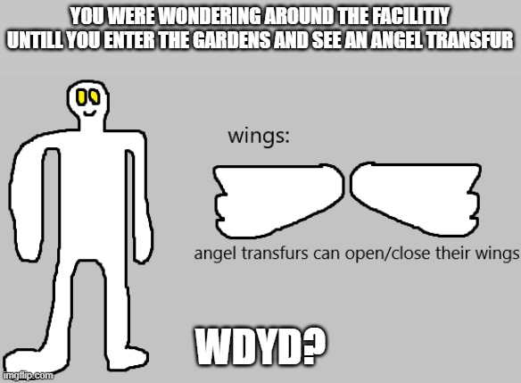 rp | you were wondering around the facilitiy untill you enter the gardens and see an angel transfur; wdyd? | image tagged in joke ocs allowed,no romance | made w/ Imgflip meme maker