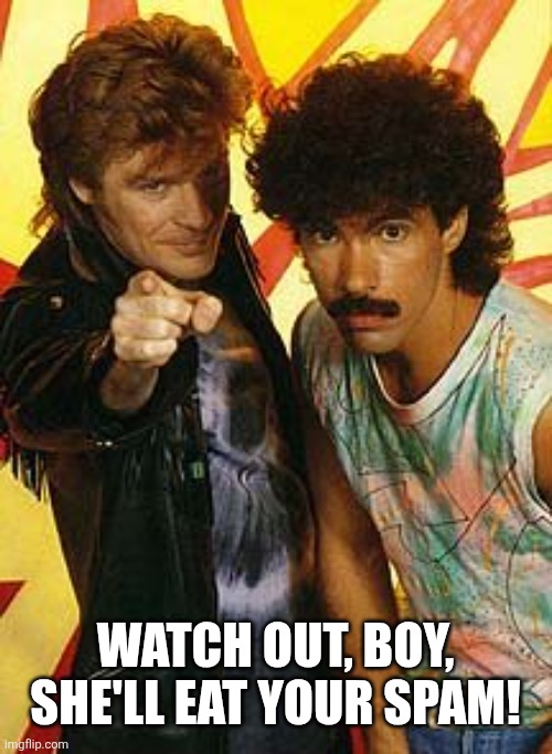 hall and oates | Watch out, boy, she'll eat your Spam! | image tagged in hall and oates | made w/ Imgflip meme maker