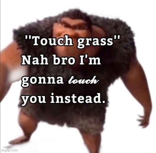 Touch grass nah bro ima gonna touch you instead | image tagged in touch grass nah bro ima gonna touch you instead | made w/ Imgflip meme maker