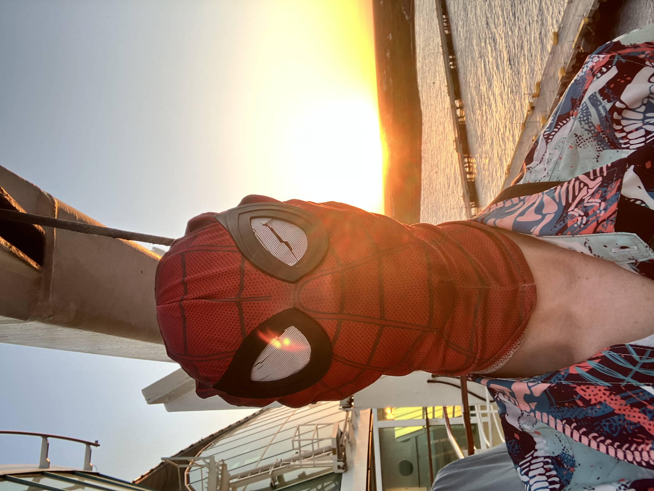 Spider-Man Vacation Sunset Blank Meme Template