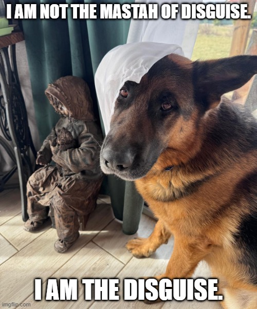 Disguise mastah | I AM NOT THE MASTAH OF DISGUISE. I AM THE DISGUISE. | made w/ Imgflip meme maker