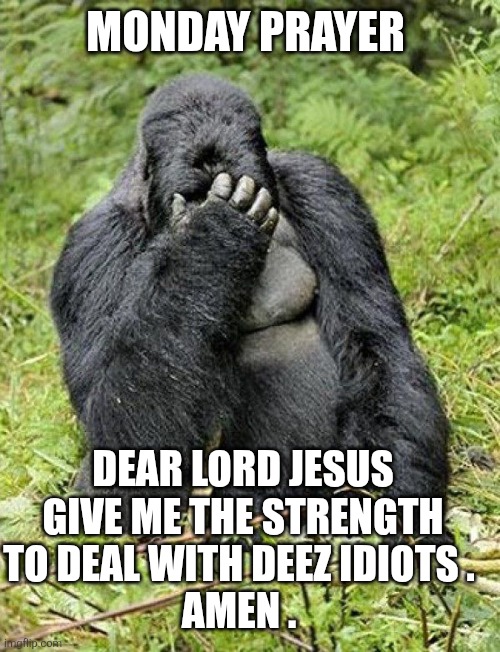 Monday memes | Monday prayer; Dear Lord Jesus give me the strength to deal with deez idiots . 
Amen . | image tagged in gorilla | made w/ Imgflip meme maker