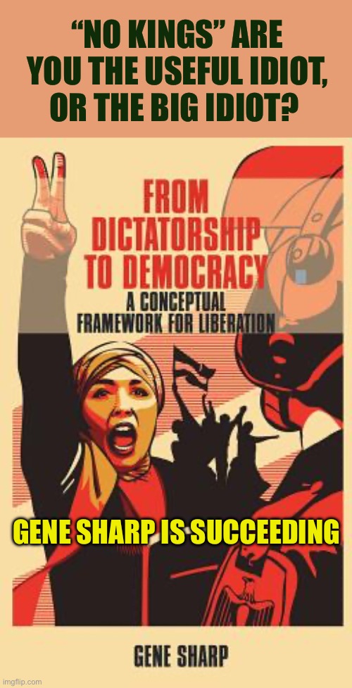 You know it’s bad, when George Soros is the puppet. | “No Kings” are you the useful idiot, or the Big idiot? Gene sharp is succeeding | image tagged in gifs,useful,idiots,democratic socialism,color,revolution | made w/ Imgflip meme maker