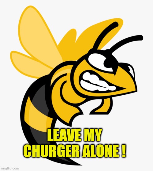 Angry Bee | Leave my churger alone ! | image tagged in angry bee | made w/ Imgflip meme maker