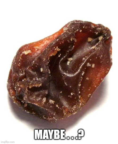 Raisin | Maybe . . .? | image tagged in raisin | made w/ Imgflip meme maker