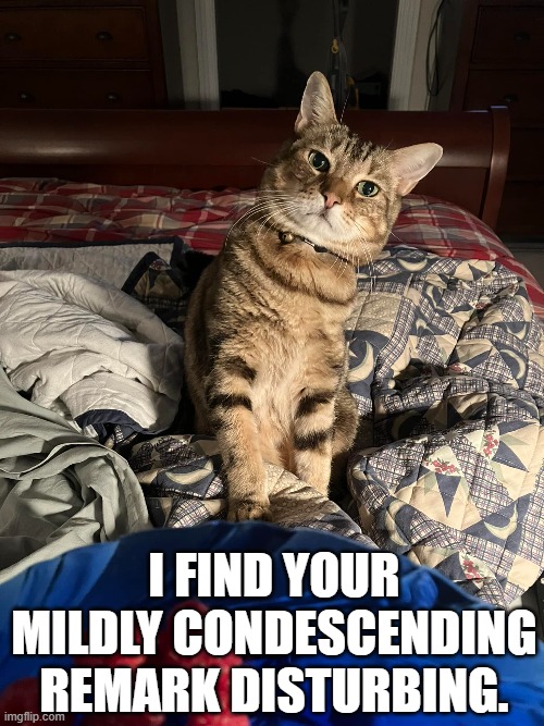SNARKY CAT | I find your mildly condescending remark disturbing. | image tagged in cats,cat,vader,darth vader,snarky | made w/ Imgflip meme maker