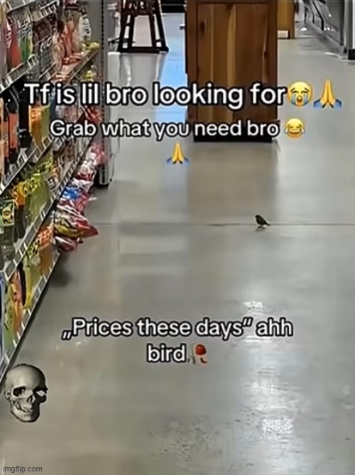 prices are so ahh these days that even birds are astonished | image tagged in bird | made w/ Imgflip meme maker