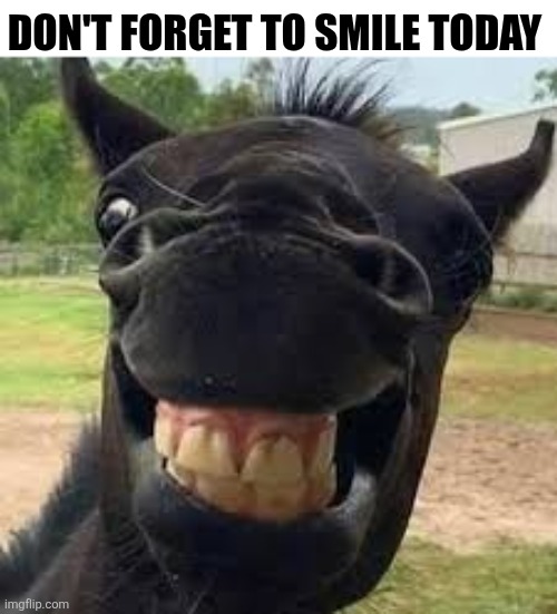 Don't Forget To Smile Today | Don't forget to smile today | image tagged in chrisjoines1 | made w/ Imgflip meme maker