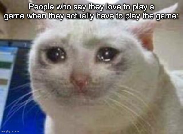 Sad cat | People who say they love to play a game when they actually have to play the game: | image tagged in sad cat | made w/ Imgflip meme maker