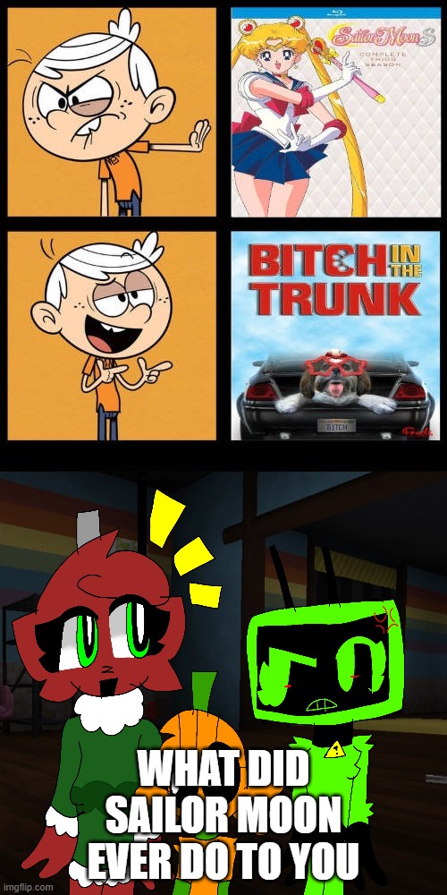 Ruin This Fill In Meme!!!!!!!!!!!!!!!!!!!!!!!!!!!!!!!!!!!!! #563 | What did sailor moon ever do to you | image tagged in ruin this fill in meme 563 | made w/ Imgflip meme maker