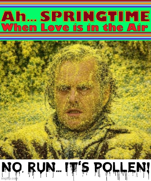 Nose Stopped Up Lately? | image tagged in vince vance,spring,flower,pollen,jack nicholson the shining snow,memes | made w/ Imgflip meme maker