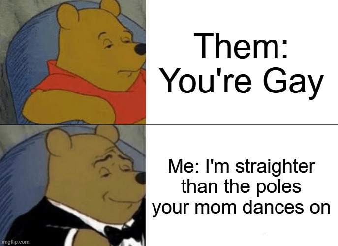 The comeback is real... | Them: You're Gay; Me: I'm straighter than the poles your mom dances on | image tagged in memes,tuxedo winnie the pooh | made w/ Imgflip meme maker