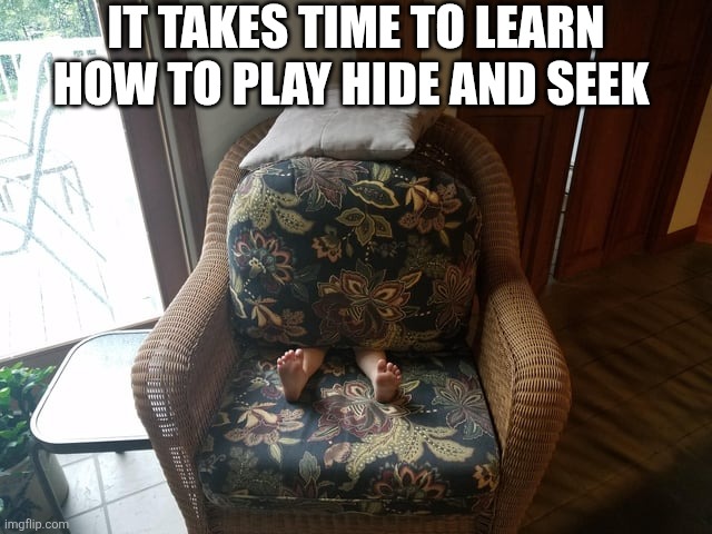 It Takes Time To Learn How To Play Hide And Seek | It takes time to learn how to play hide and seek | image tagged in chrisjoines1 | made w/ Imgflip meme maker