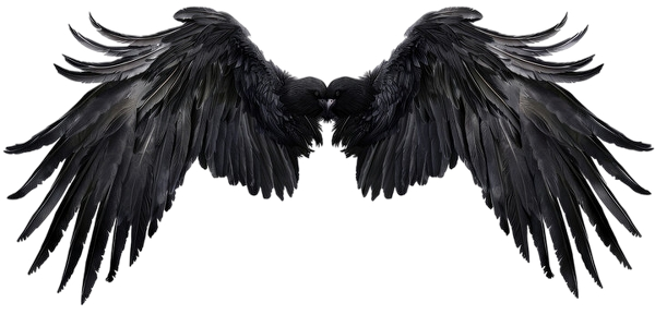 Black Wings Blank Meme Template